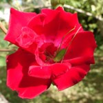 Sommaire - Tous les articles du site